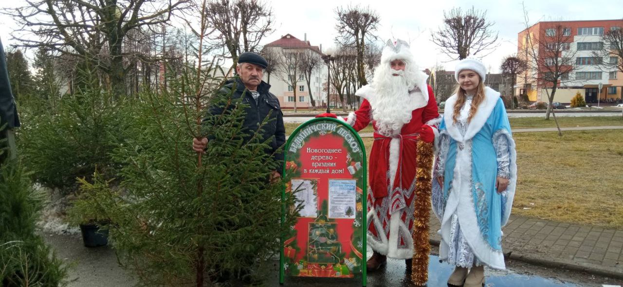 Дед Мороз и Снегурочка посетили точки продажи новогодних деревьев