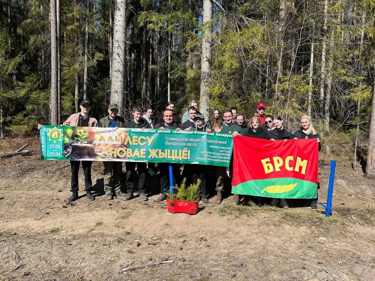 ДАЙ ЛЕСУ НОВАЕ ЖЫЦЦЁ!