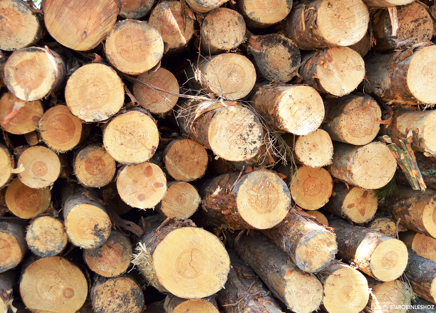 О реализации дров населению