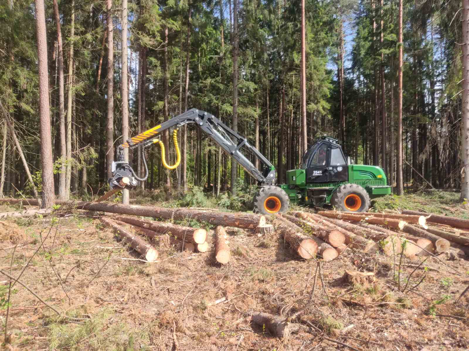 Бригада Белыничского лесхоза  помогает Краснопольскому лесхозу устранять последствия ветровалов