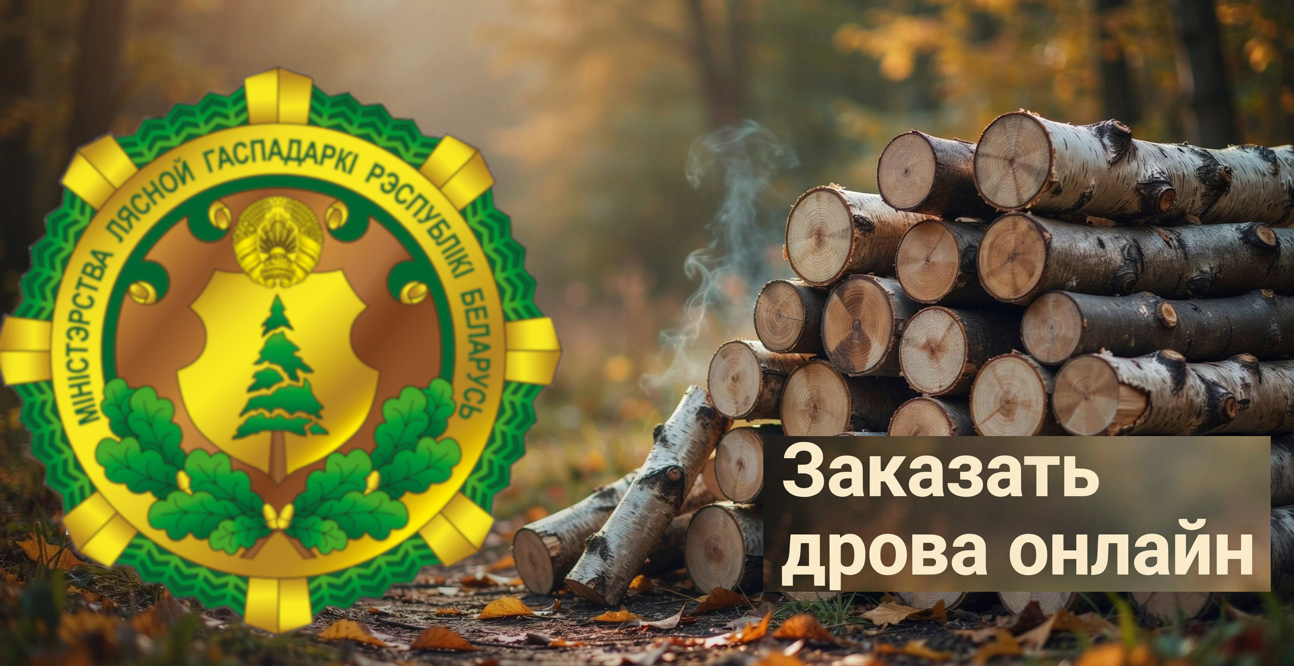 Белорусы с 1 октября 2026 года смогут заказывать дрова онлайн