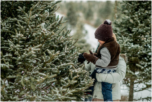 «ЗЕЛЕНАЯ КРАСАВИЦА» ПОД КОНТРОЛЕМ