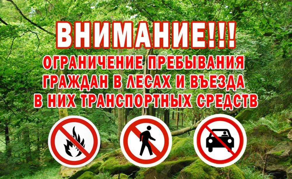 Внимание! Введено ограничение посещения лесов