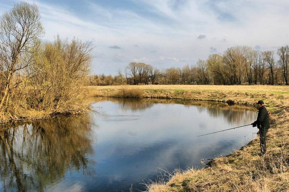 О запретах и ограничениях в период нереста