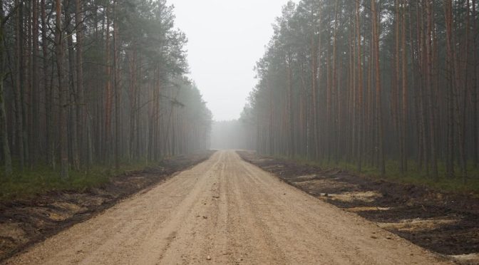 О ремонте и восстановлении лесных дорог