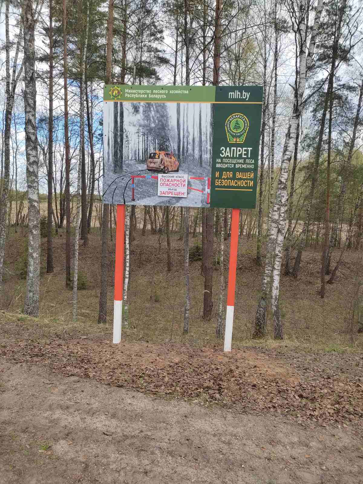 Новая социальная реклама Министерства лесного хозяйства на дорогах района