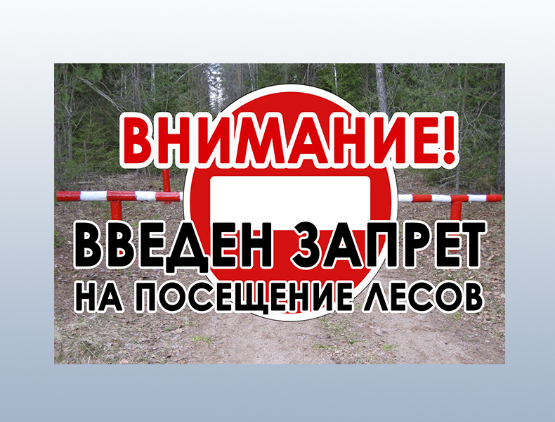 ‼️ВВЕДЕН ЗАПРЕТ НА ПОСЕЩЕНИЕ ЛЕСОВ‼️