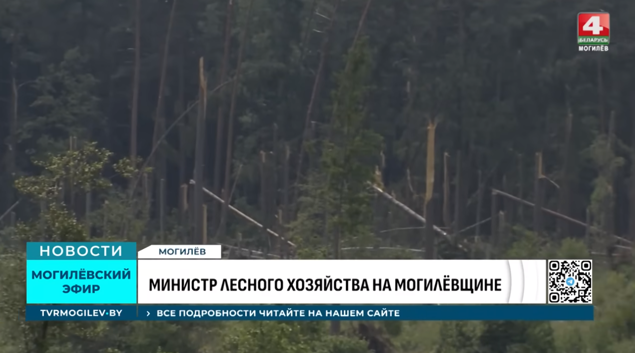 От завалов 